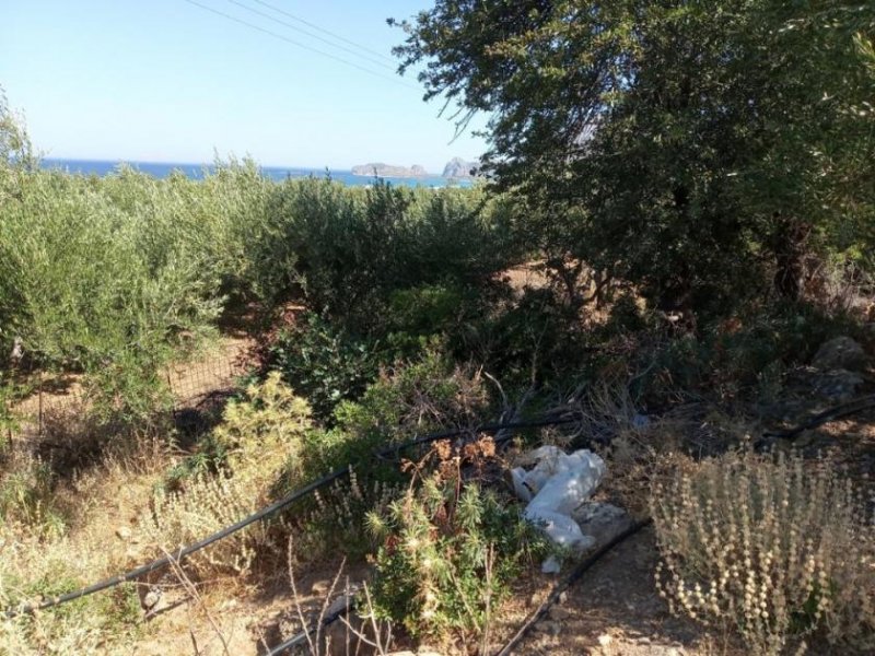 Kissamos Grundstück in der Nähe des Strandes von Falassarna Grundstück kaufen